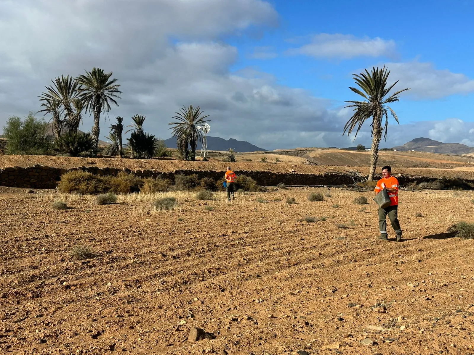 Fuerteventura’s ‘Beautiful by Nature’ Teams Collaborate on Planting Campaign