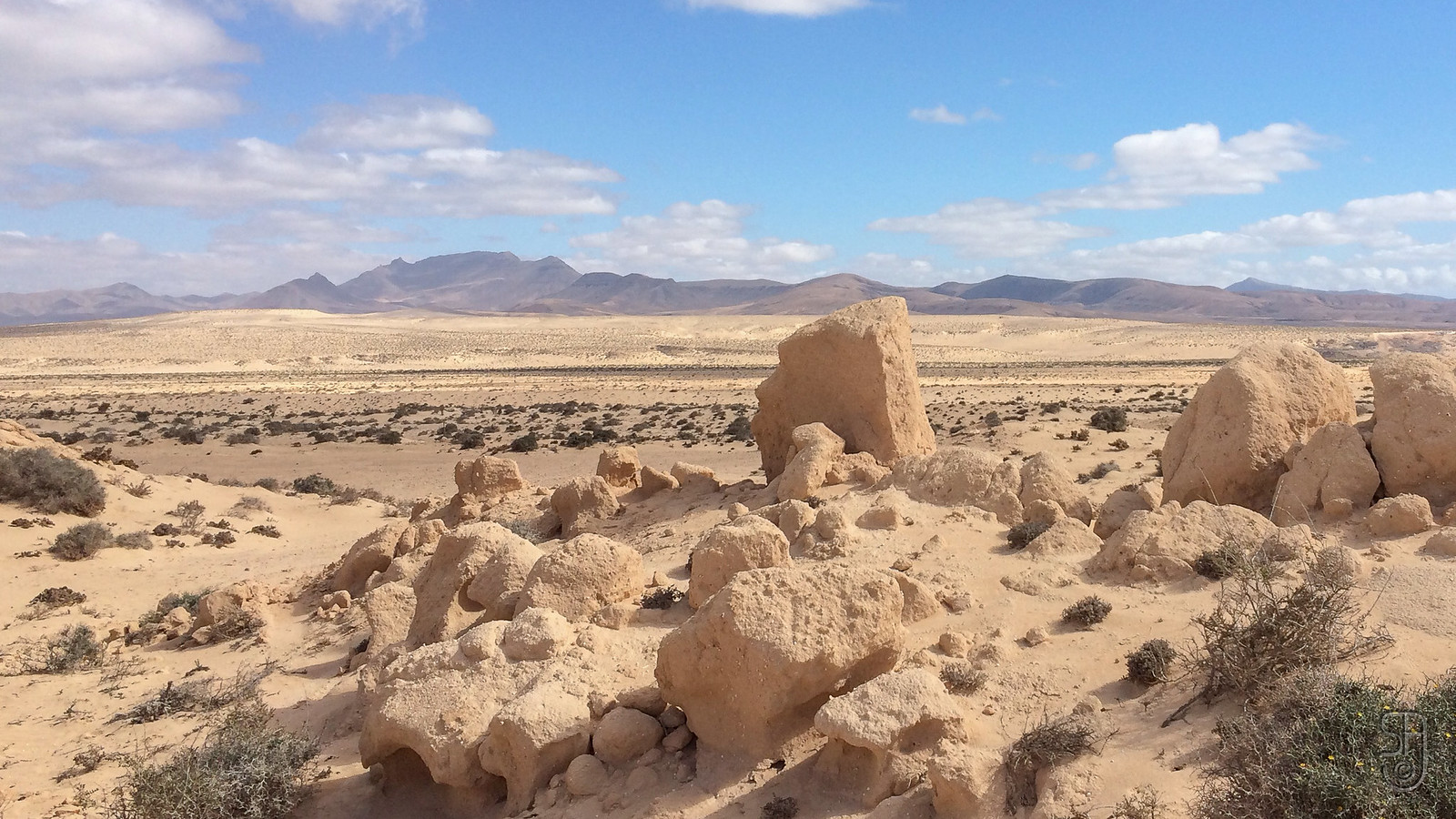 Paralizado un parque e&oacute;lico en Costa Calma