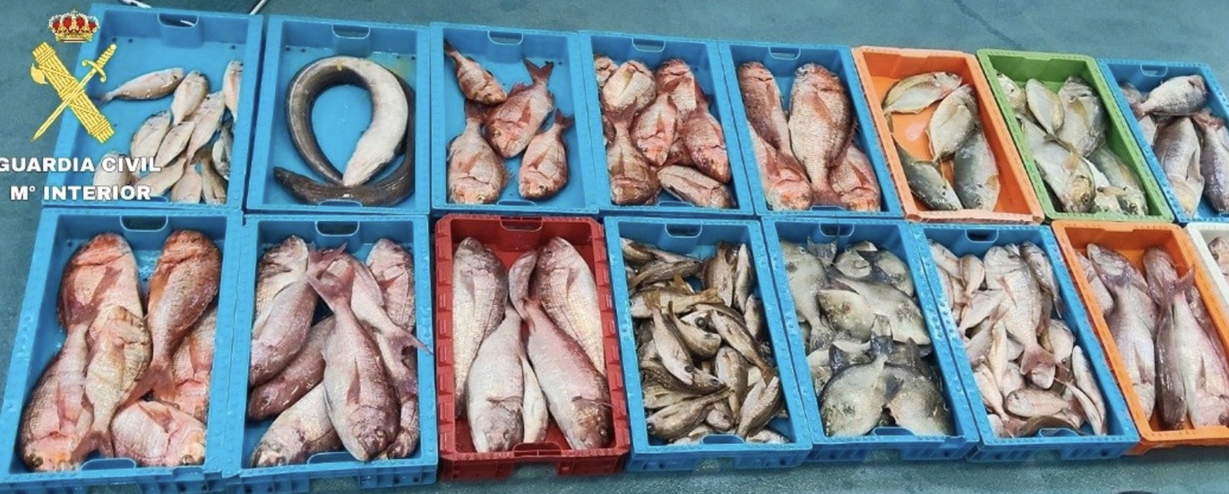 Intervienen en Fuerteventura 230 kilos de pescado ilegalmente en la Reserva Marina de La Graciosa