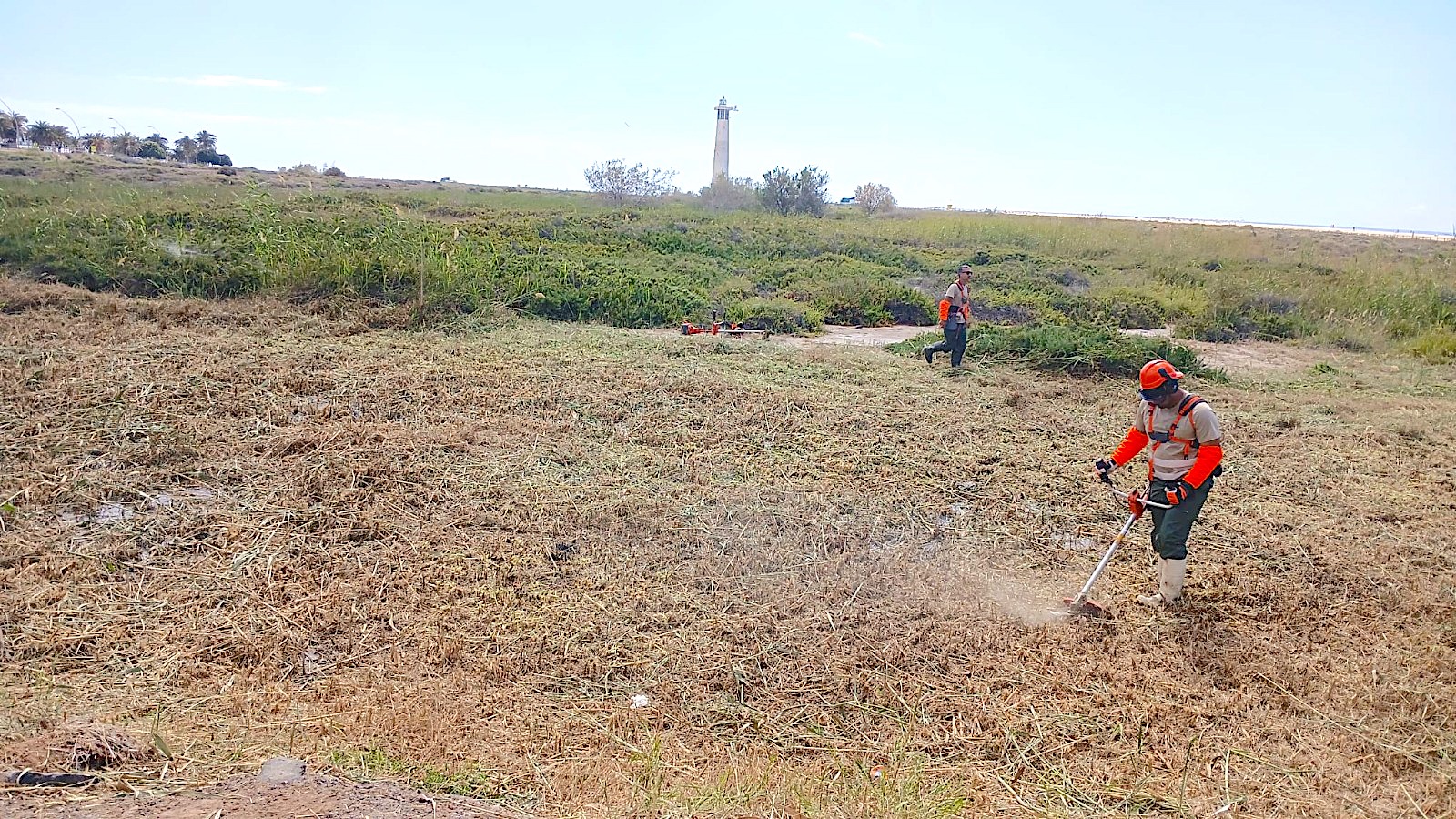 Misi&oacute;n: Salvar el Saladar de Jand&iacute;a de las especies invasoras
