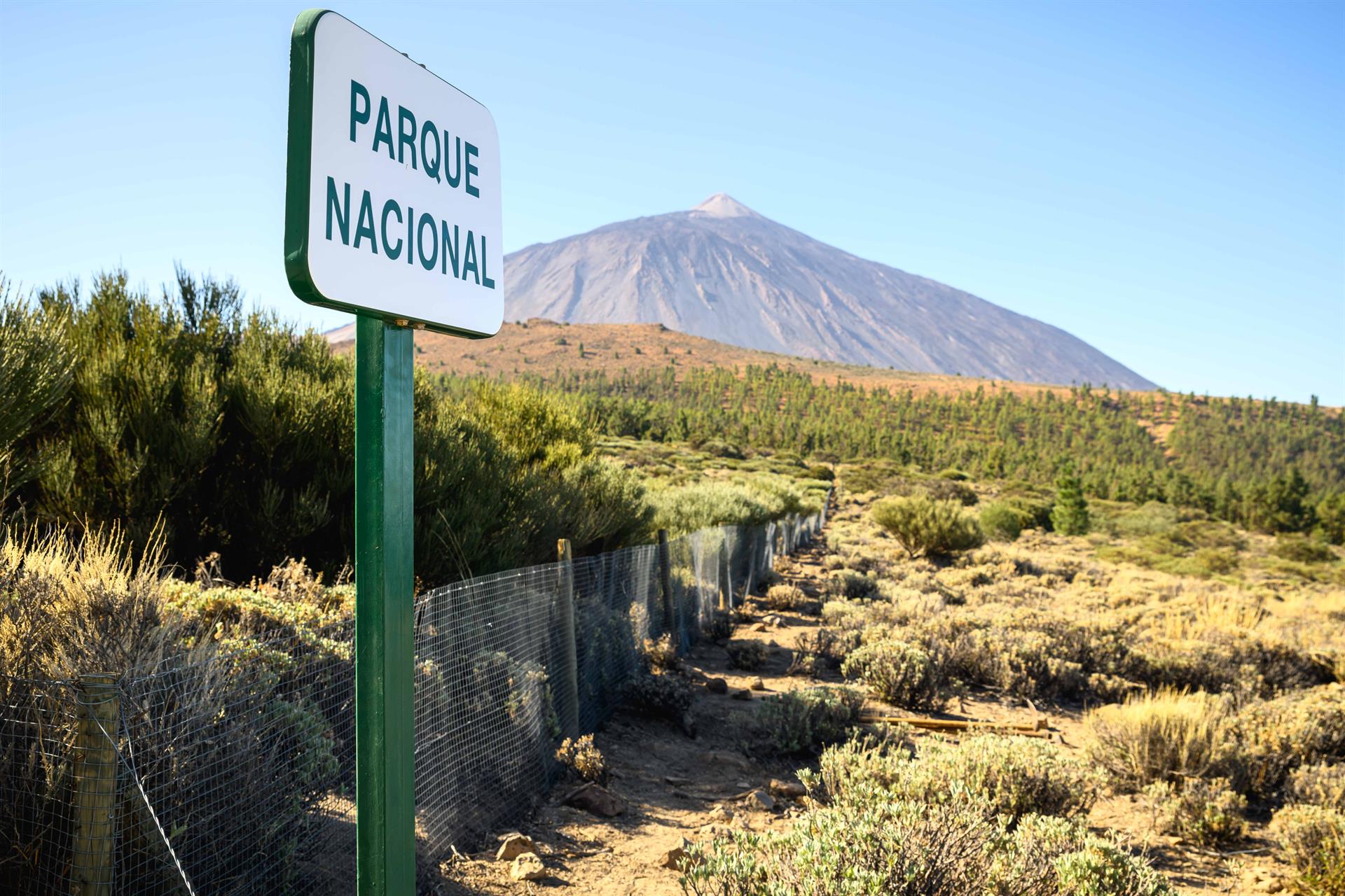 El IGN registra 131 terremotos de baja frecuencia en Las Ca&ntilde;adas del Teide en los &uacute;ltimos tres d&iacute;as