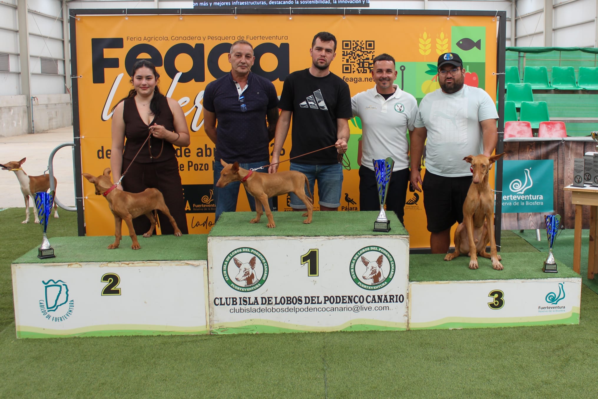 Podenco Canario y bardino majorero en Feaga 2026