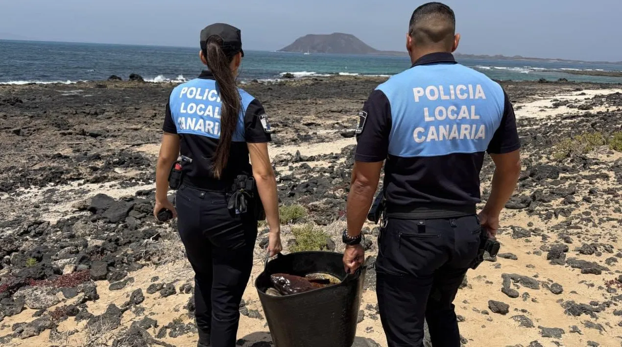 Several Poachers Intercepted at the Big Beaches of Corralejo