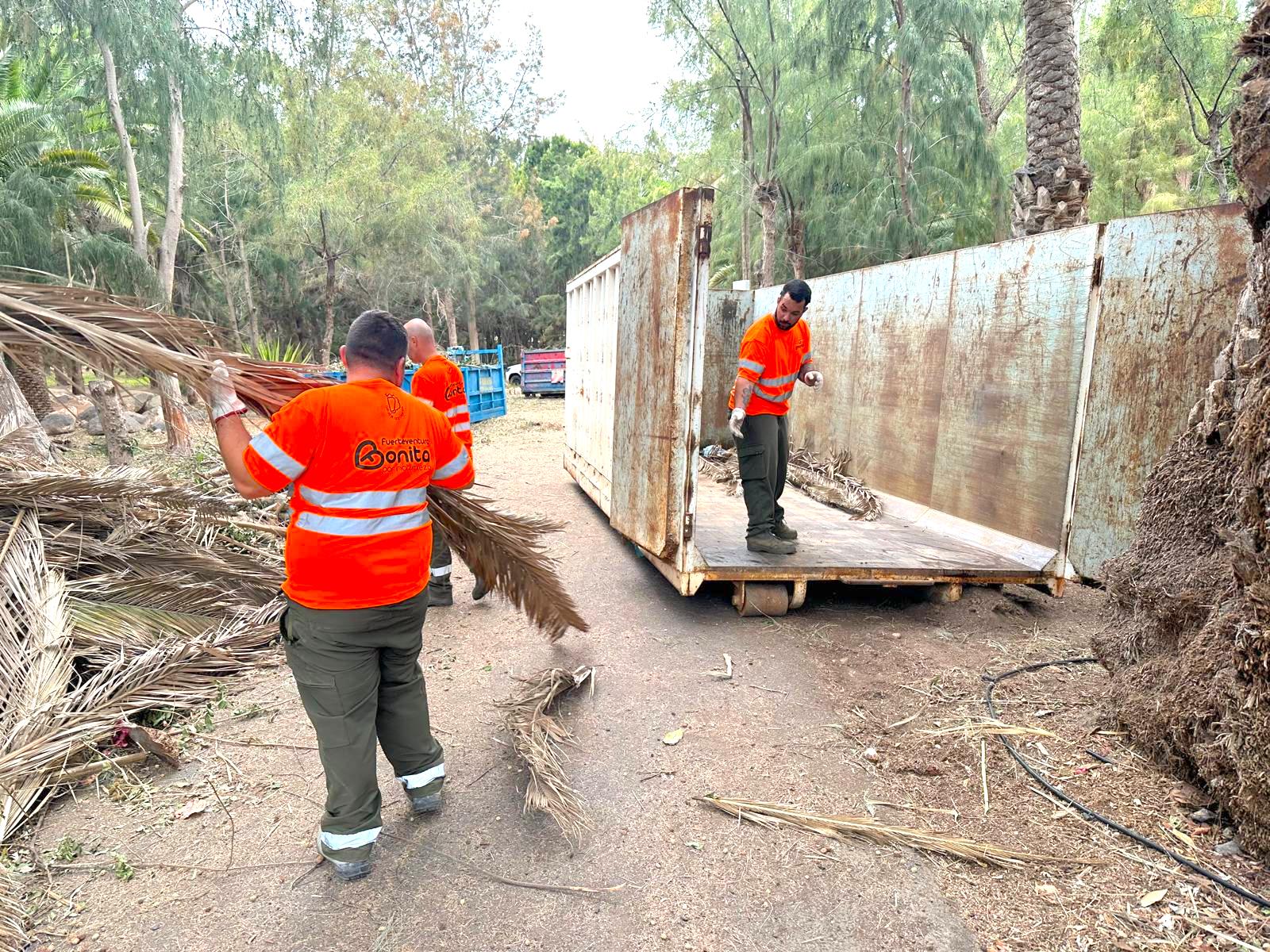 La limpieza de choque en Costa Calma retira m&aacute;s de 110 m3 de residuos en una semana
