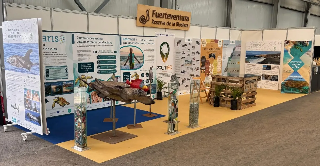 Fuerteventura Hosts Ecomaris Meeting with Workshops on Coastal and Marine Environments