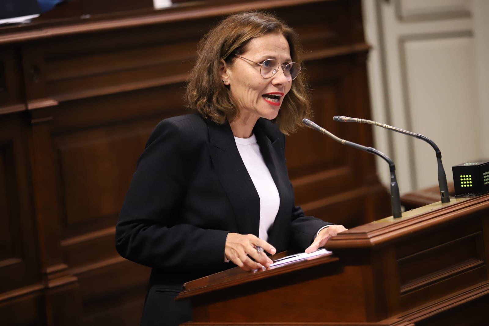 El Psoe pide dialogo para decidir sobre el campo de tiro de P&aacute;jar