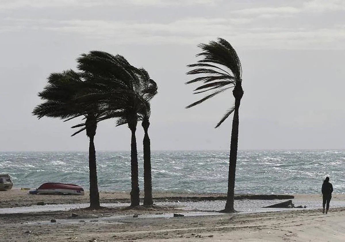 El gobierno de Canarias decreta la prealerta por vientos