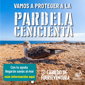 campaña pardela 2025
