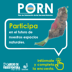 cabildo PORN