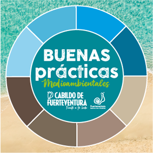 buenas practicas cabildo junio 26