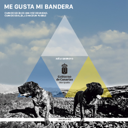 gobierno de canarias  la peña 25